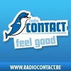 contact  